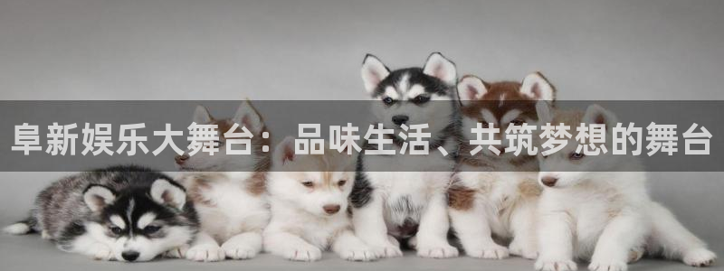 AB娱乐