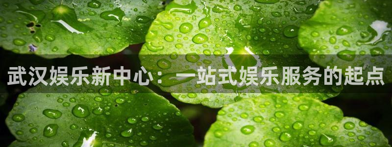 AB娱乐
