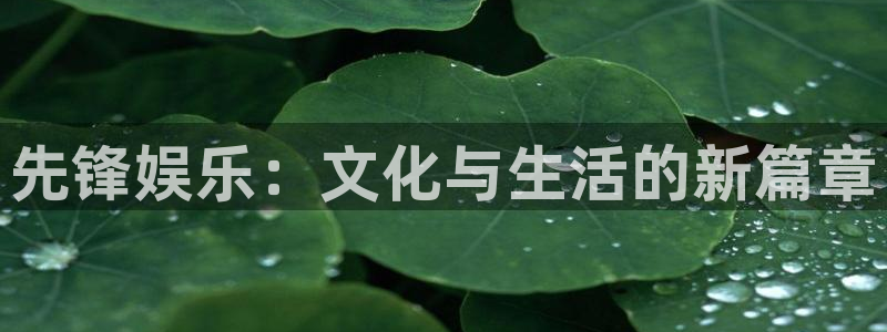 AB娱乐